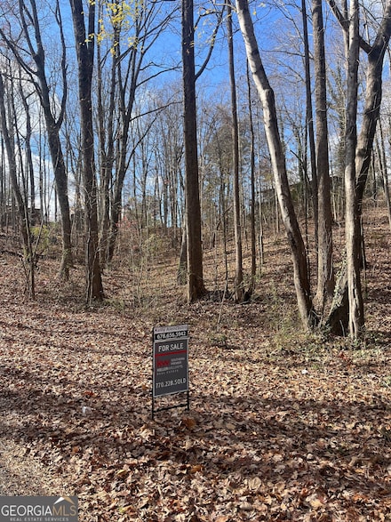 0 Tomahawk Terrace Unit 10653462, Gainesville, GA 30506