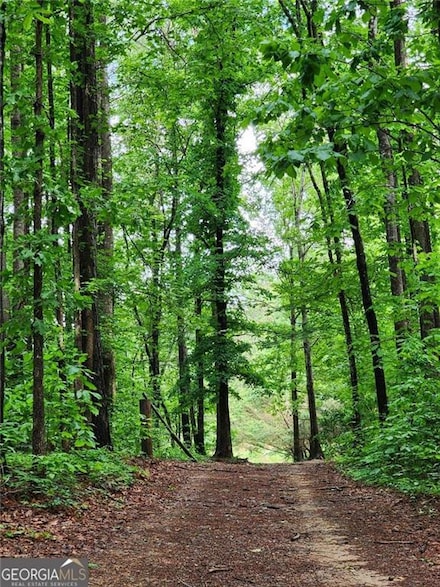 2760 Kesler Rd, Carnesville, GA 30521