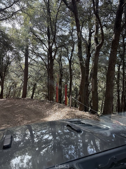 0 Mojave River Rd Unit HD25031797, Cedarpines Park, CA 92322