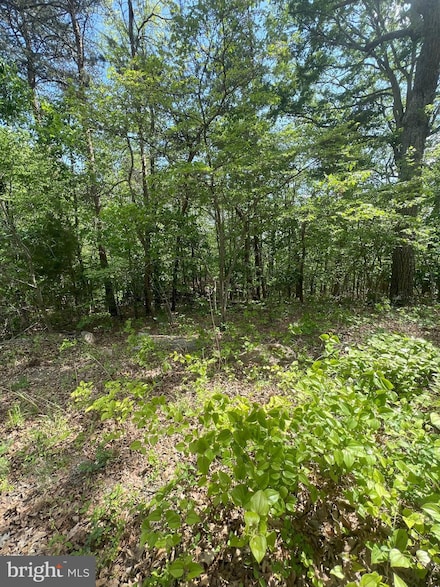 427 Long View Dr, Luray, VA 22835
