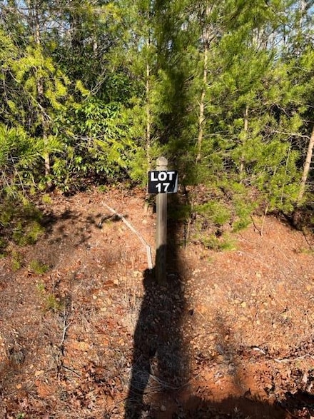Lot 17 Frances Dr, Ellijay, GA 30536
