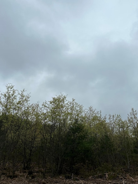 ON Cth Y Unit Lot 8, Tomahawk, WI 54487