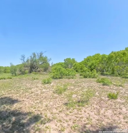LOT 3 0 Cr 197, Falls City, TX 78113
