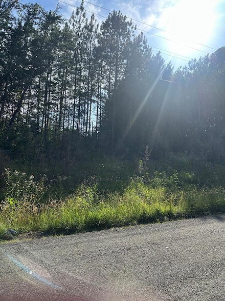 Lot 6 Burton Rd, Scottsburg, VA 24589