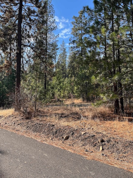 Lot 2 Wapiti Bob White Ln, Davenport, WA 99122
