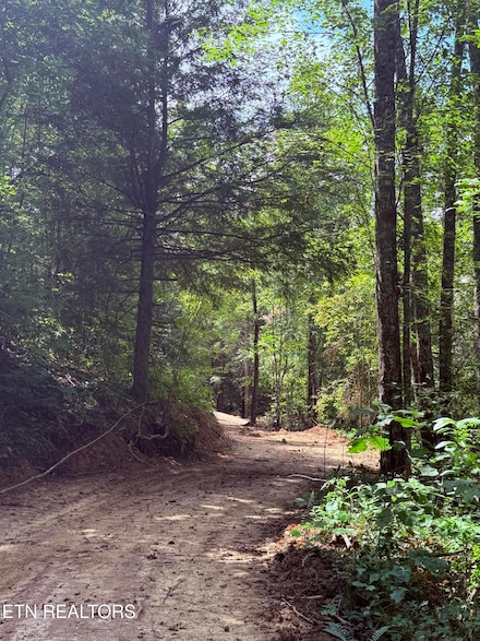 1055 Big 4 Rd, Lafollette, TN 37766