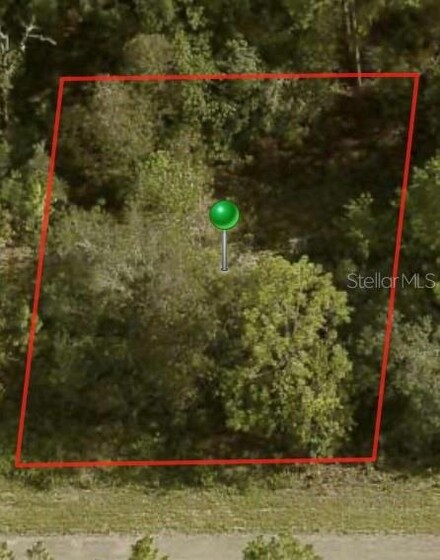 1729 W Pendleton St, Pine Ridge, FL 34434