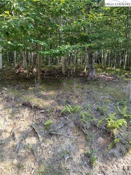 115 Locust Ridge Rd, Beech Mountain, NC 28604