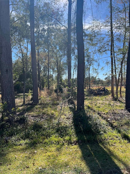 430 E Walton Rd, Lumberton, TX 77657
