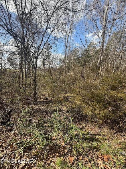 1462 Friends Station Rd, New Market, TN 37820