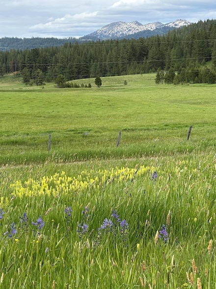 TBD Nasi Ln, Donnelly, ID 83615