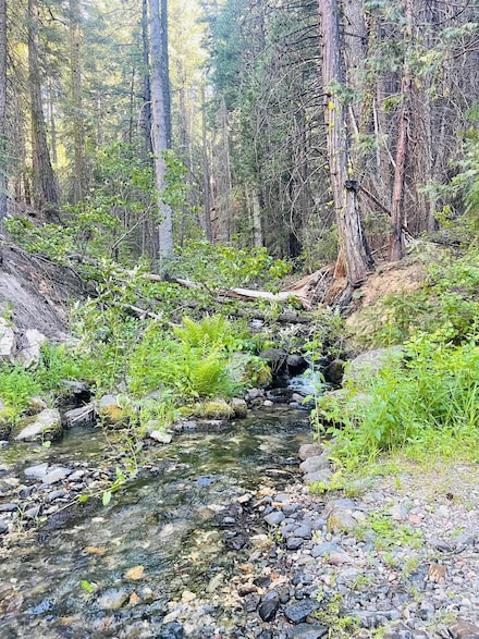 3050 Water Way, Graeagle, CA 96103