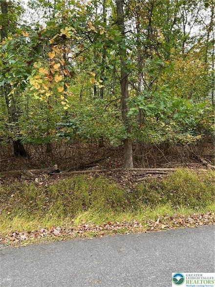 0 Dogwood Unit 766398, Middle Smithfield Township, PA 18302