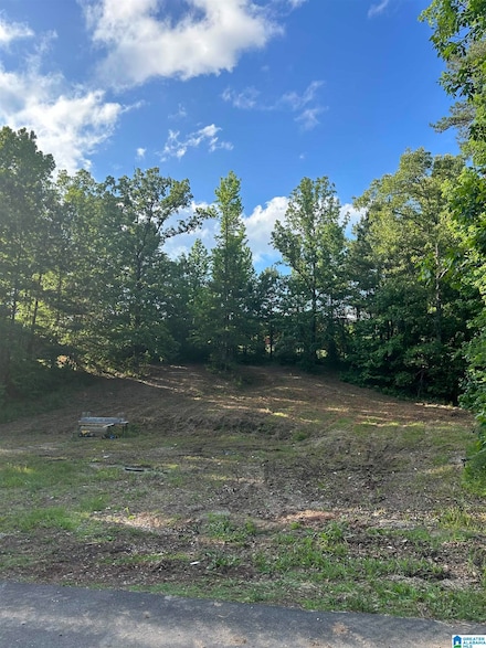 1016 Tall Oaks Cir Unit 1, Mc Calla, AL 35111