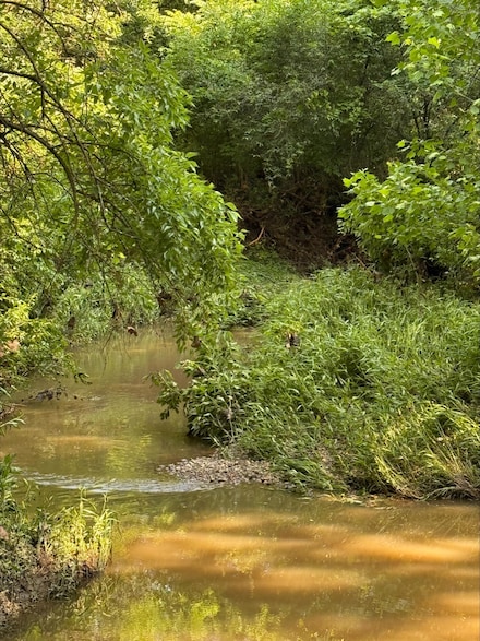 0 20 35 Acres E Sugar Grove Rd, Columbia, MO 65201