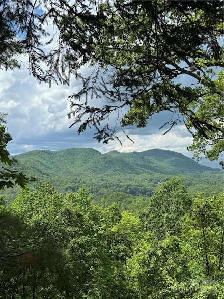 0 Biltmore Cir Unit 7 CAR4140706, Bryson City, NC 28713