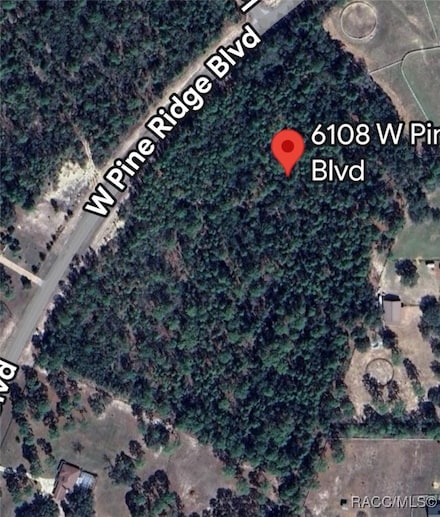 6108 W Pine Ridge Blvd, Beverly Hills, FL 34465