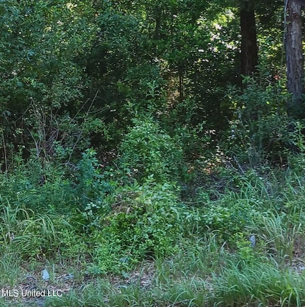 0 Griffin St Unit 4057398, Moss Point, MS 39563