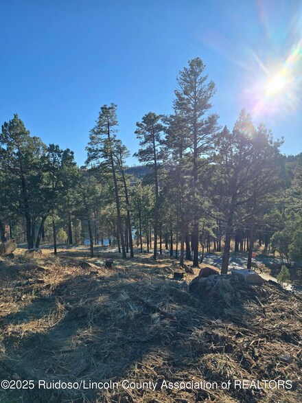 131 Pine Cone Ln, Alto, NM 88312