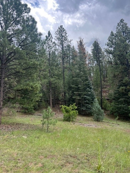 Lot D-!, 18.561 acre MacHo Canyon Rd, Pecos, NM 87552