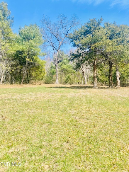 20 Vineyard Valley Dr, Butler, TN 37640