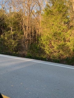 6476 Arno College Grove Rd, College Grove, TN 37046