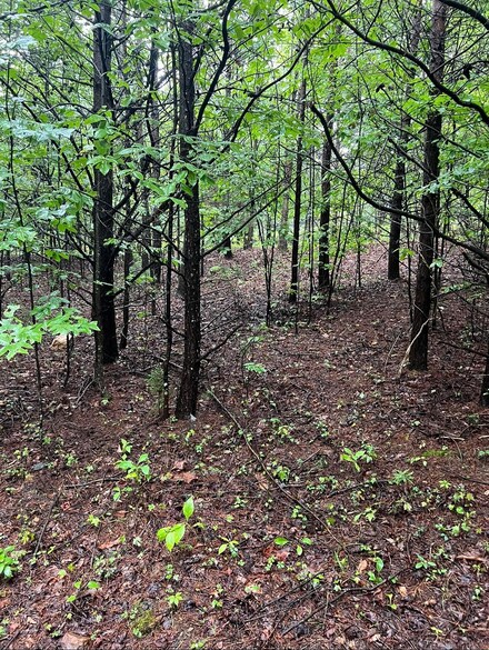 0 Coles Creek Rd, Blackwater, VA 24151