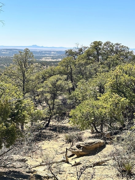 27 Ranchero Rd Unit 45, Pie Town, NM 87827