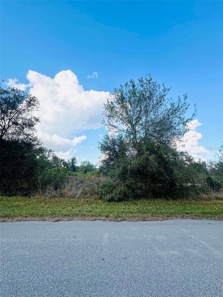 14452 Rowan Ave, Port Charlotte, FL 33953