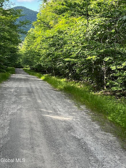 L81.112 Ruby Mountain View Dr, North River, NY 12856