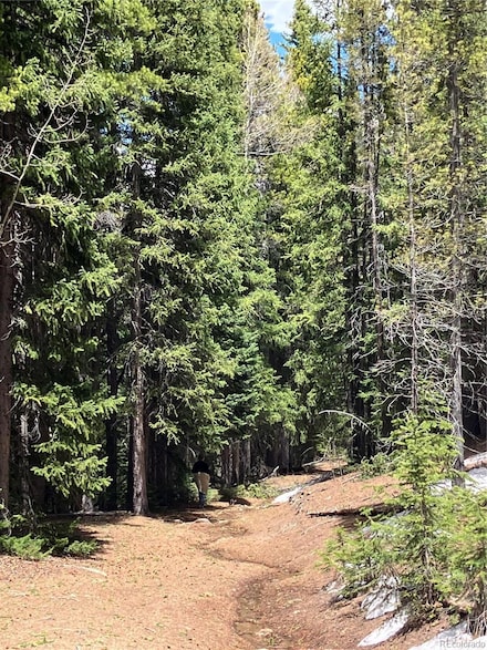 0 Rd Unit REC8368118, Black Hawk, CO 80422