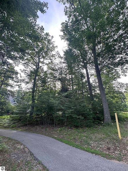 7 Deer Park, Glen Arbor, MI 49636