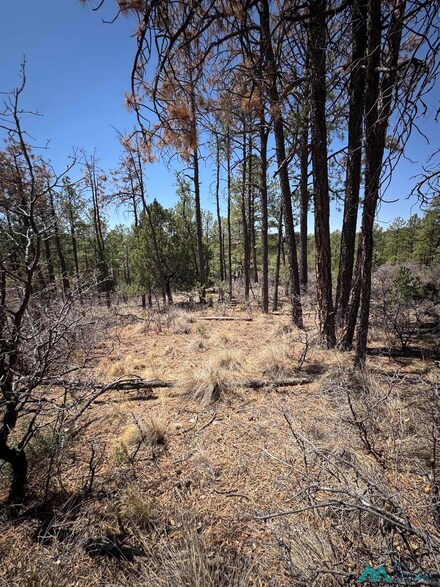 27 Hayssinia St, Timberon, NM 88350