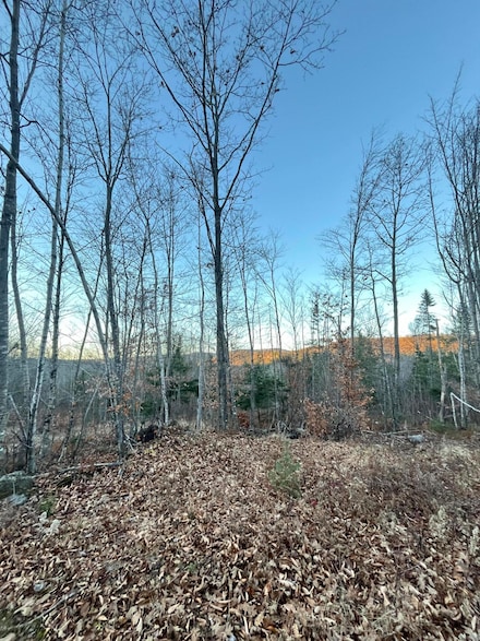 0 Curtis Hill Rd Unit 1611173, Woodstock, ME 04219