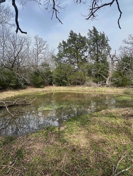TBD County Road 130, Fairfield, TX 75840