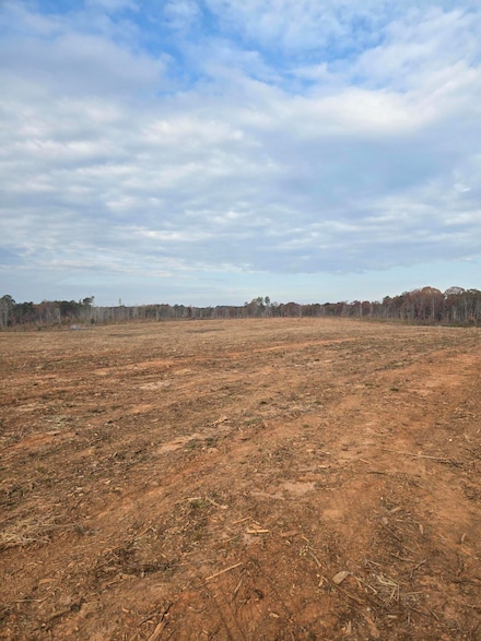 0 Elberton Hwy Unit 540707, Lincolnton, GA 30817