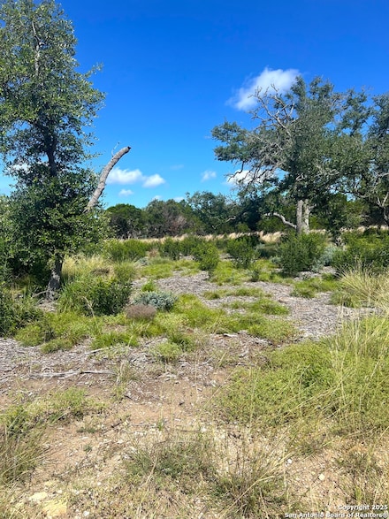 0000 Citadel, Centerpoin, TX 78010
