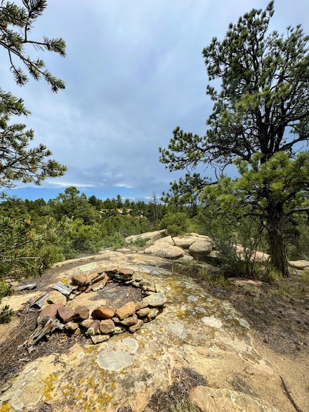 0 Spanish Highlands #2 Unit 62 25-699, Bon Carbo, CO 81024