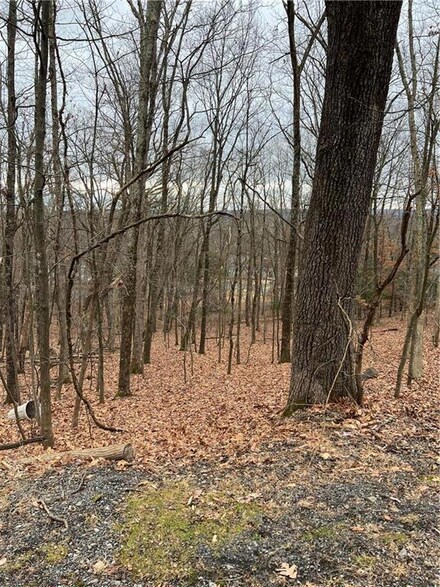 0 Faber Cir Unit 36, Tannersville, PA 18372