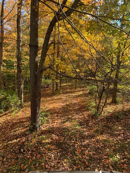 0 Lithopolis Winchester Rd NW Unit Lot 3 221043267, Canal Winchester, OH 43110