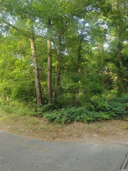 0 Cedar Ln Unit ONE3556748, Medford, NY 11763