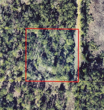 0 Edgerly Dequincy Rd Unit SWL25001867, Vinton, LA 70668