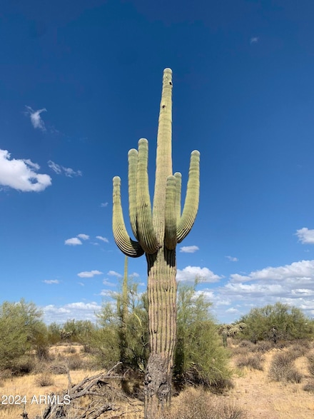 0 W Hohokam & Roca St Unit 6773513, Florence, AZ 85132