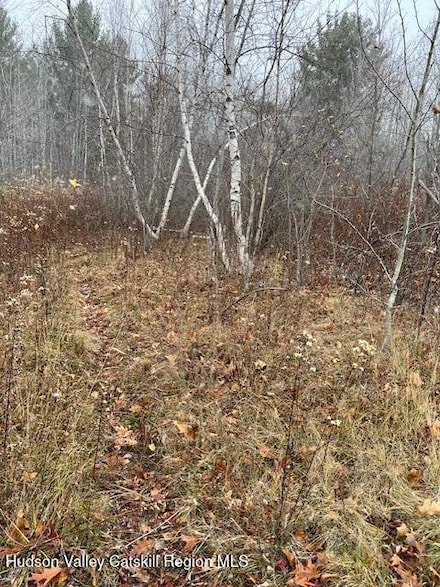 Tbd Goshen St, Jewett, NY 12444