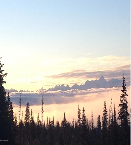 Tr G Tracy Ave, Fritz Creek, AK 99603