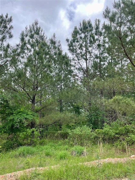 679 Timber Creek Trails South Xl, Broken Bow, OK 74728