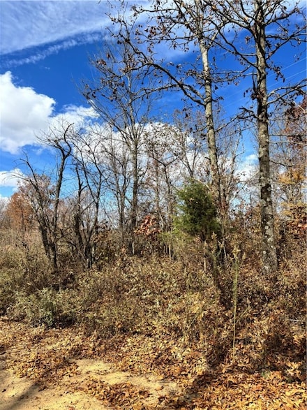 TBD Cr 5261, Oark, AR 72852