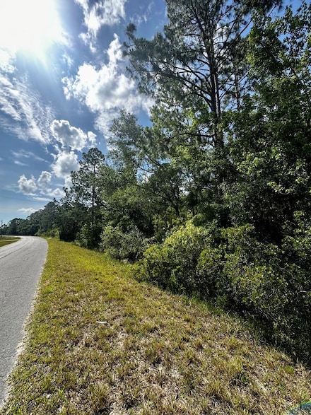 0 SW 316th Ave, Cross City, FL 32628