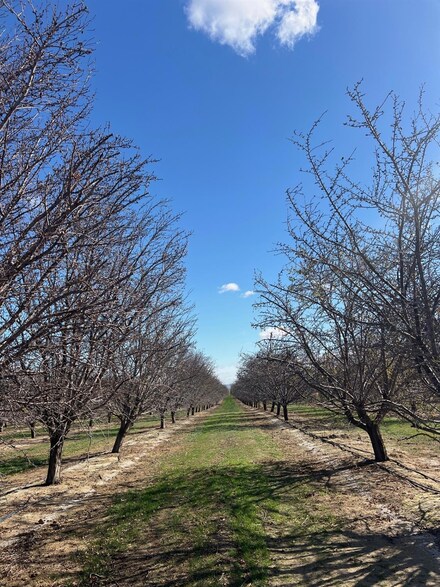 1 33rd Ave, Avenal, CA 93239