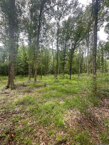 Lot SF-14 Louisiana 16, Denham Springs, LA 70706